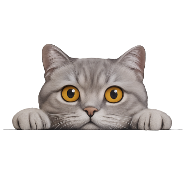 Fensteraufkleber neugierige katze schaut neugierig - TenStickers