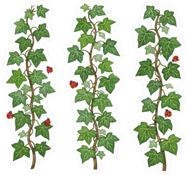 Fensteraufkleber gartenreben-medley - TenStickers