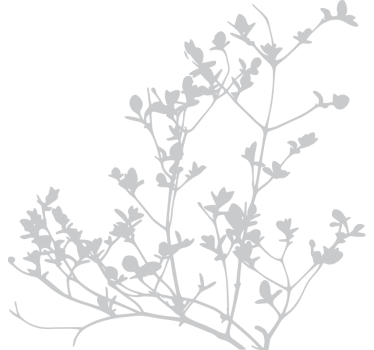 Fensteraufkleber elegante blattsilhouette - TenStickers