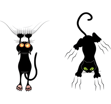 Autoaufkleber kratzende schwarze katzen - TenStickers