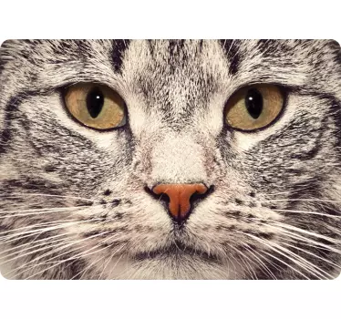 Katzengesicht Notebook Aufkleber - TenStickers