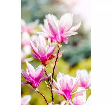 Fensteraufkleber Magnoliendesign - TenStickers