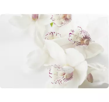 Weiße Orchidee Laptopaufkleber - TenStickers
