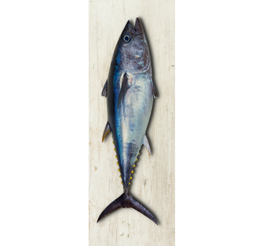 Thunfisch kühlschrank wrap - TenStickers