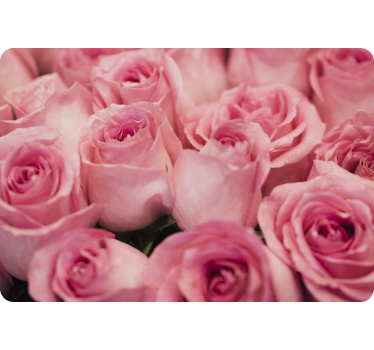 Rosa mit rosen laptop Aufkleber - TenStickers