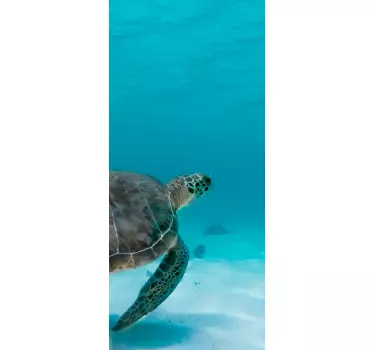 Folie tür schildkrötenreise - TenStickers