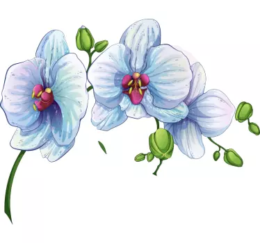 Blume Aufkleber Weiß-blaue Orchidee - TenStickers