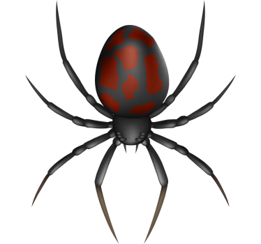 Autoaufkleber 3D realistische Spinne - TenStickers
