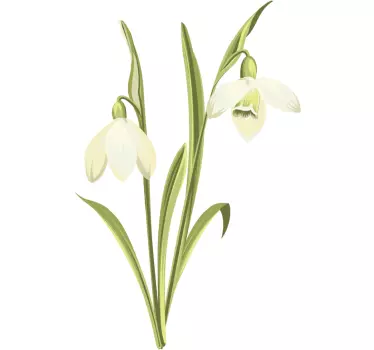 Blume Aufkleber Schneeglöckchen pflanze - TenStickers