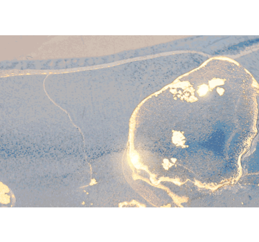 Notebook Aufkleber Blauer und goldener marmor - TenStickers
