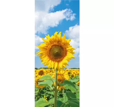 Folie Kühlschrank sonnenblumenfeld - TenStickers