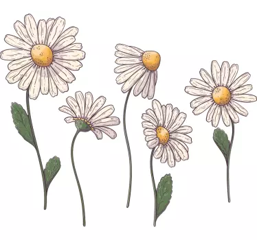 Blume Aufkleber Gänseblümchen blumen - TenStickers