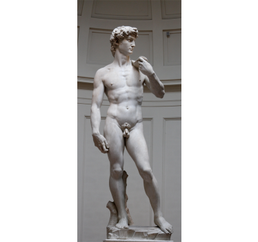 Kühlschrank Folie David Michelangelo - TenStickers