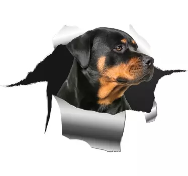 Auto Aufkleber Rotweiler Design - TenStickers