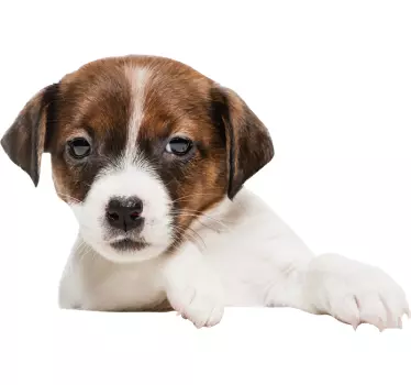 Fensteraufkleber  Hundedesign - TenStickers