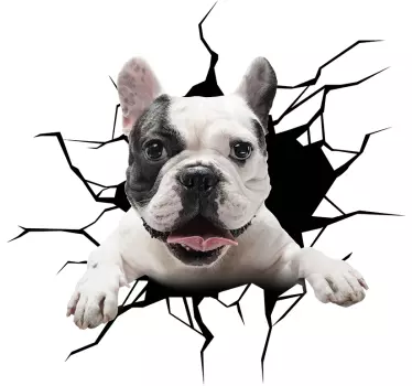 Autoaufkleber Hund guckt aus dem Fenster - TenStickers