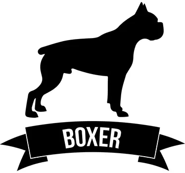 Autoaufkleber Hund Boxer - TenStickers