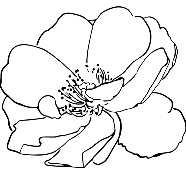 Blume Aufkleber - TenStickers