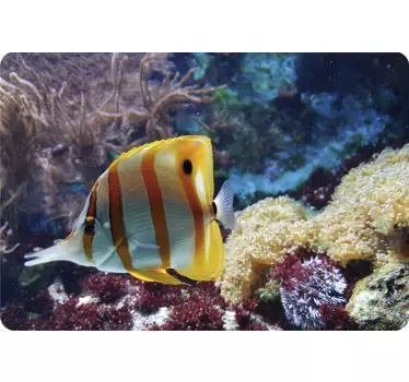 Great Barrier Reef Laptop Aufkleber - TenStickers