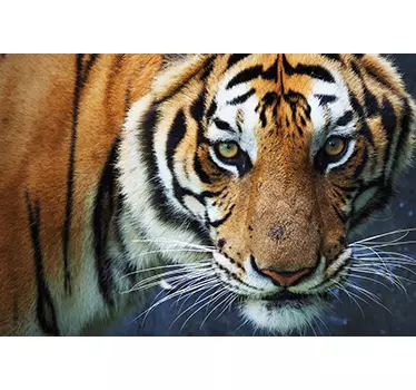 Laptop Aufkleber Tiger - TenStickers