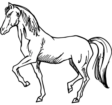 Outline Pferd Aufkleber - TenStickers