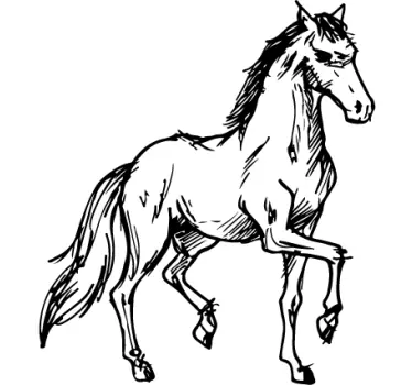 Pferd Aufkleber - TenStickers