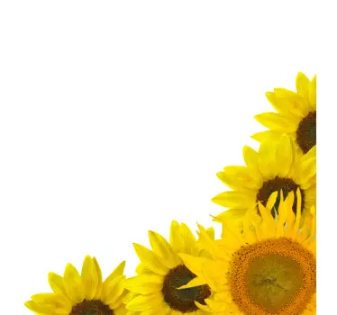 Sonnenblume Ecke Aufkleber - TenStickers