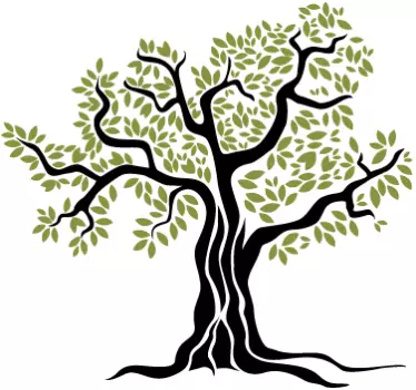 Wandtattoo Olivenbaum - TenStickers