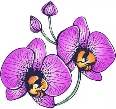 Wandtattoo Orchidee - TenStickers