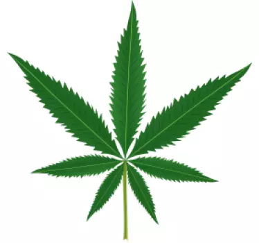 Wandtattoo Pflanze Marihuana Blatt - TenStickers
