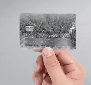 Kreditkartenaufkleber Winterwald - TenStickers