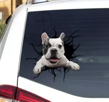 Autoaufkleber Hund guckt aus dem Fenster - TenStickers