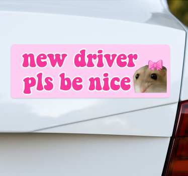Autoaufkleber neu fahrer freundlich sein - TenStickers