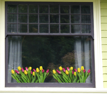 Fensteraufkleber Tulpenstrauß - TenStickers
