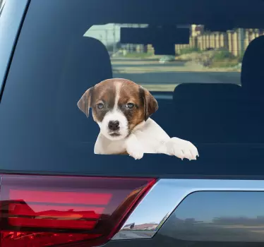 Fensteraufkleber  Hundedesign - TenStickers