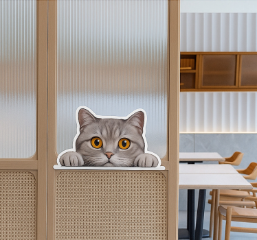 Fensteraufkleber neugierige katze schaut neugierig - TenStickers