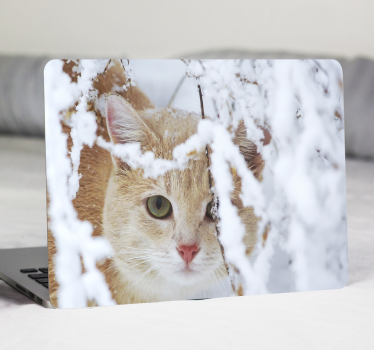 Katze im Schnee Laptop Aufkleber - TenStickers