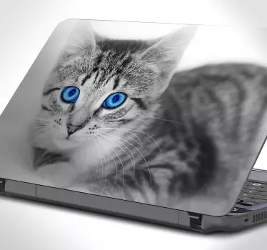 Laptop Sticker Katzen Portät - TenStickers