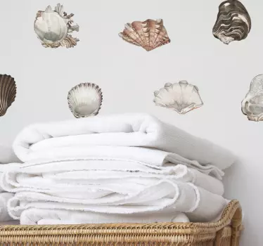 Muscheln Wandattoo maritim Sammlung - TenStickers