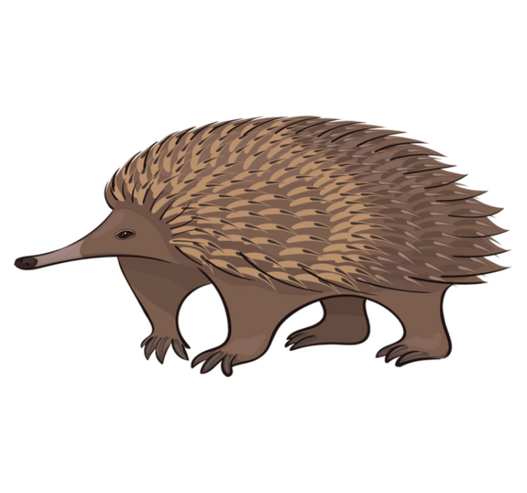 Vinyl teppich tiere freundlicher igel charakter - TenStickers