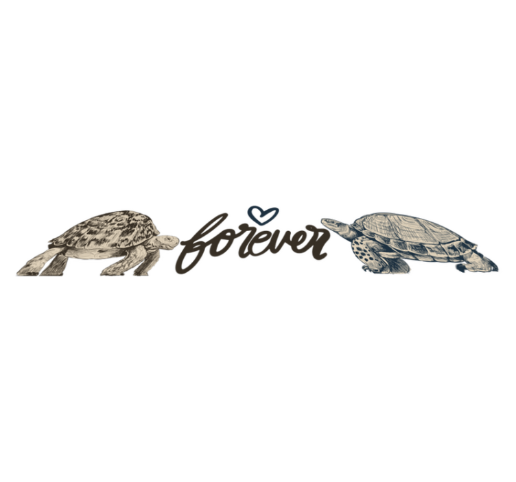 Vinyl teppich tiere schildkröten für immer liebe zitat - TenStickers
