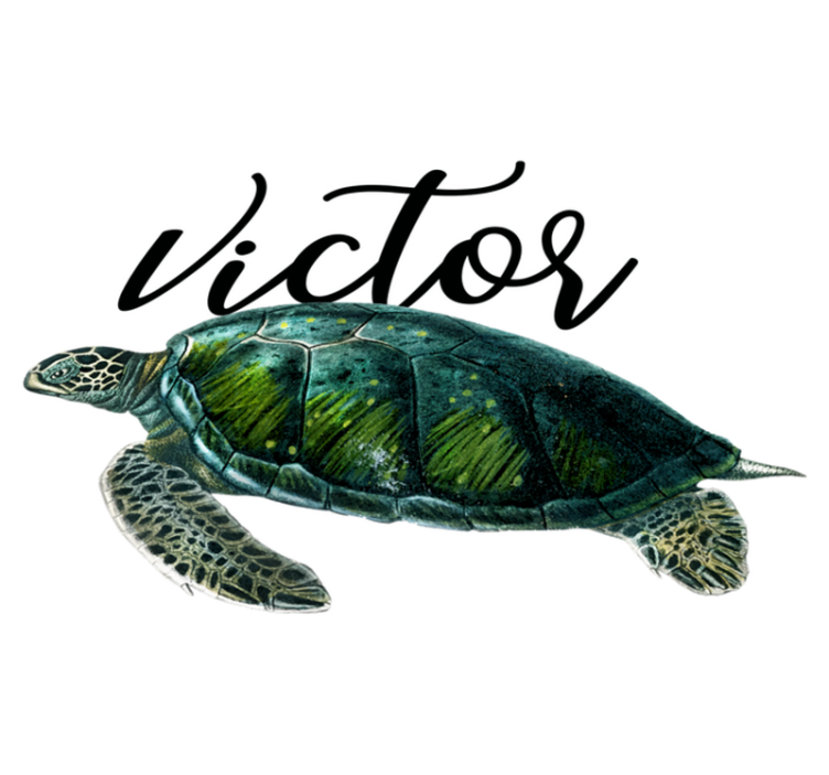 Vinyl teppich tiere mit anpassbarem schildkröten design - TenStickers