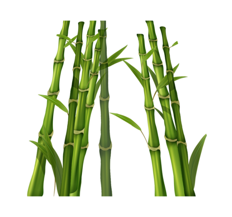 Vinyl teppich bad im bambusdesign - TenStickers