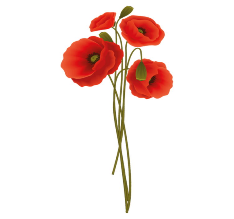 Vinyl teppich bad zarte mohnblumen - TenStickers