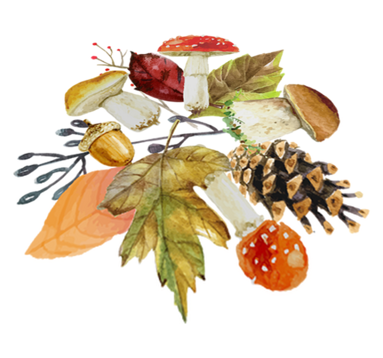 Vinyl teppich natur mit blättern und früchten - TenStickers