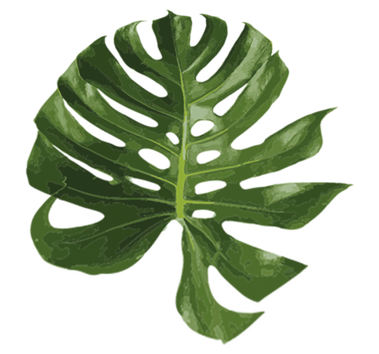 Vinyl teppich blumen mit köstlichem monstera blatt - TenStickers