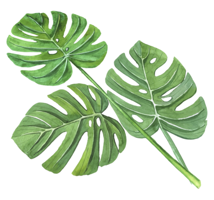 Vinyl teppich blumen mit aquarell monstera blättern - TenStickers