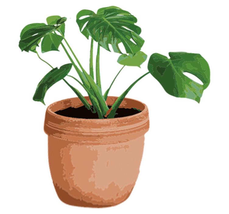 Vinyl teppich blumen einfacher monstera topf - TenStickers