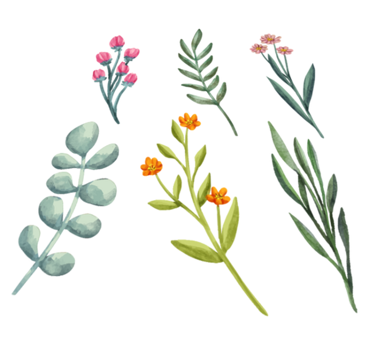 Vinyl teppich blumen pflanzenzweige - TenStickers