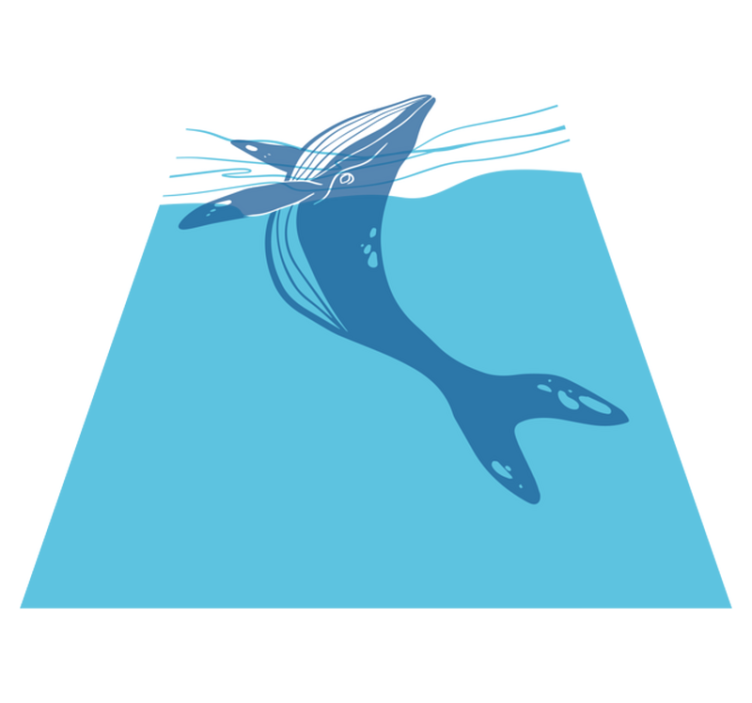 Vinyl teppich bad mit walfisch duschscreen aufklebern - TenStickers